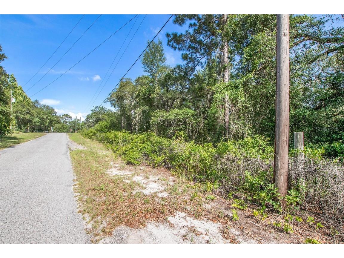 0 Shady Hills Spring Hill FL 34610 TB8456038 image25