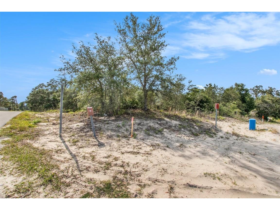 0 Shady Hills Spring Hill FL 34610 TB8456038 image26