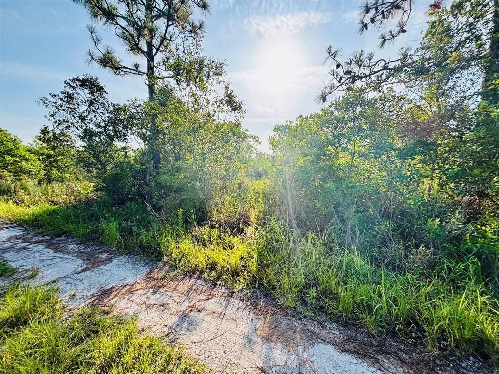 0 Shakedown Street Saint Cloud FL 34773 O6329621 image1