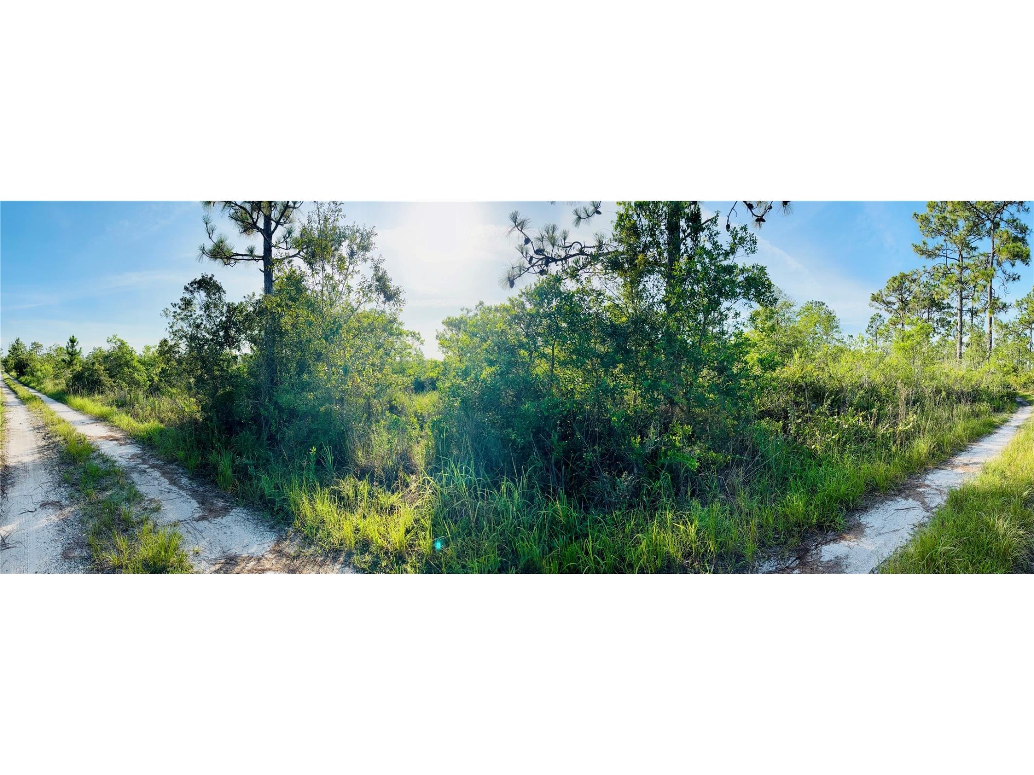 0 Shakedown Street Saint Cloud FL 34773 O6329621 image13