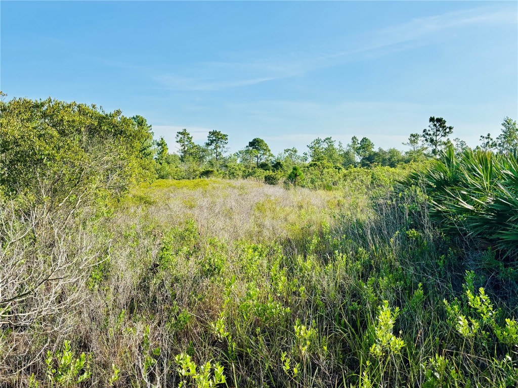 0 Shakedown Street Saint Cloud FL 34773 O6329621 image2