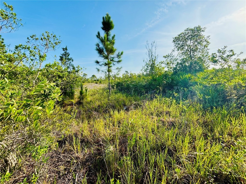 0 Shakedown Street Saint Cloud FL 34773 O6329621 image4