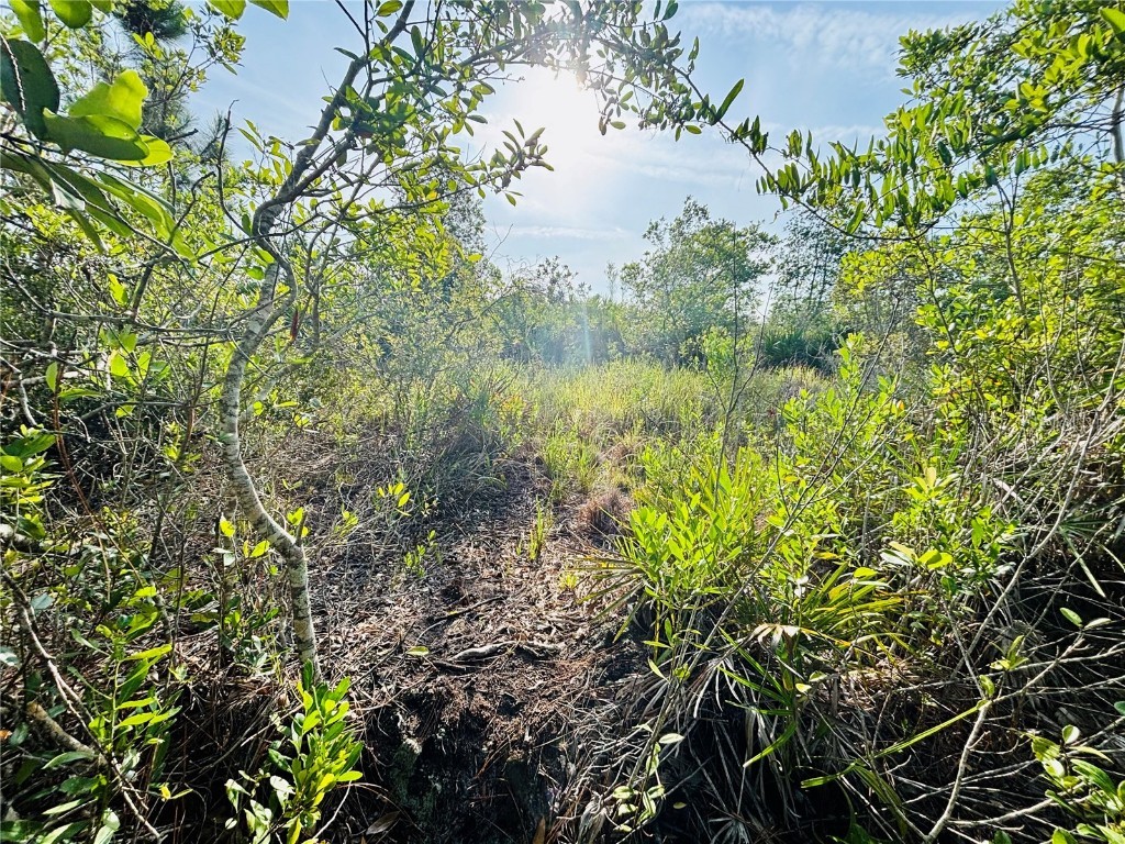 0 Shakedown Street Saint Cloud FL 34773 O6329621 image5