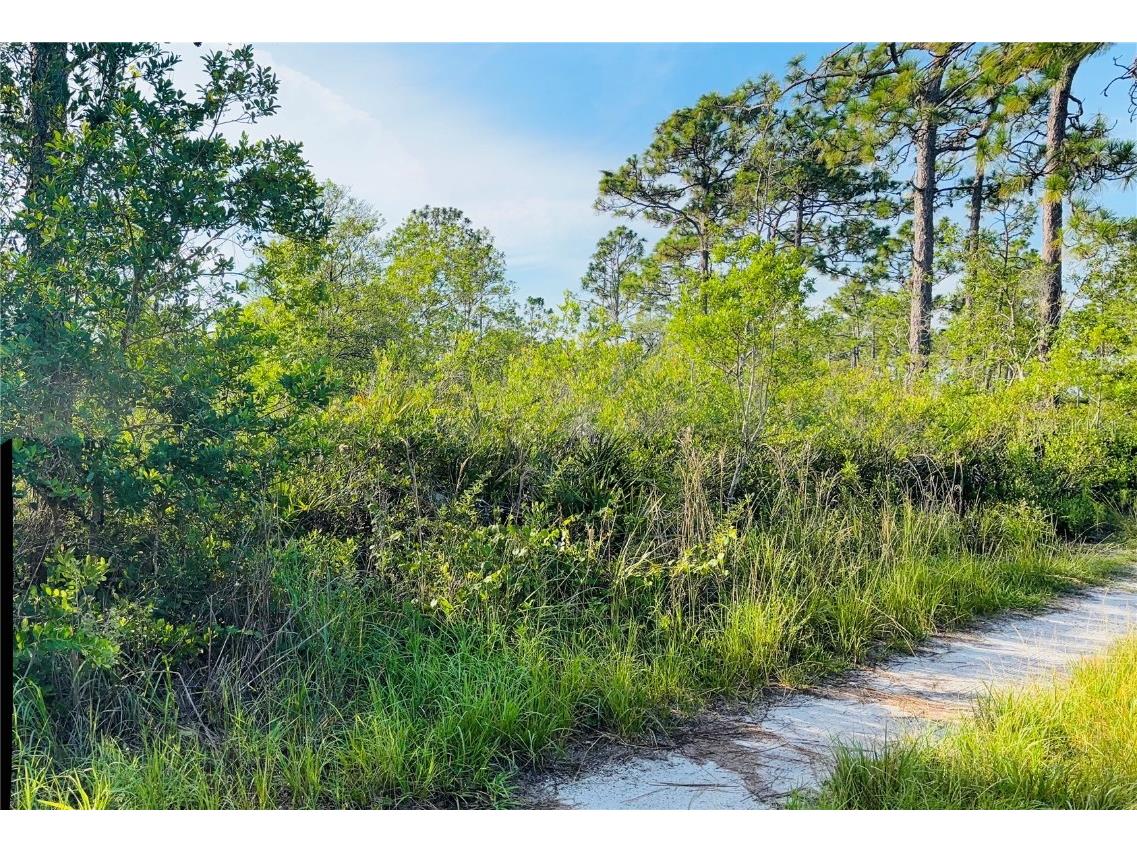 0 Shakedown Street Saint Cloud FL 34773 O6329621 image6