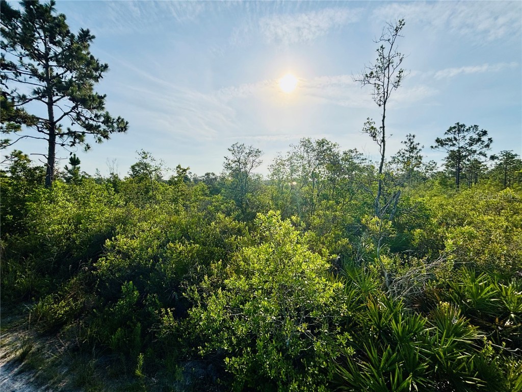 0 Shakedown Street Saint Cloud FL 34773 O6329621 image8