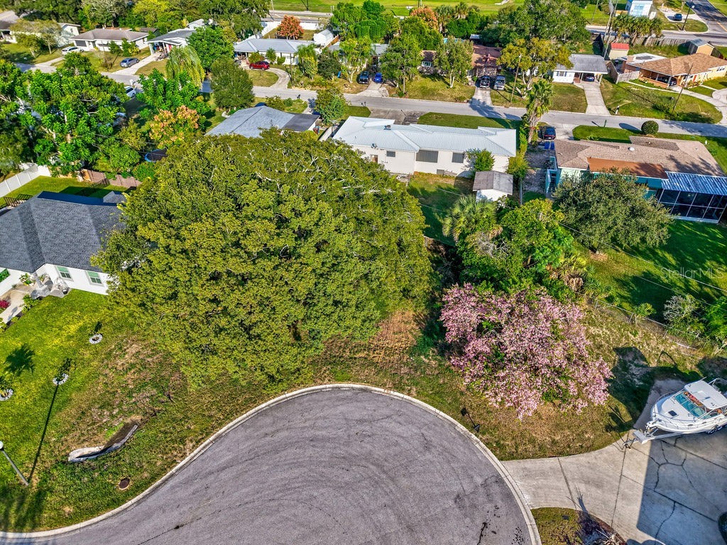 0 Shawna Shores Haines City FL 33844 TB8440324 image25