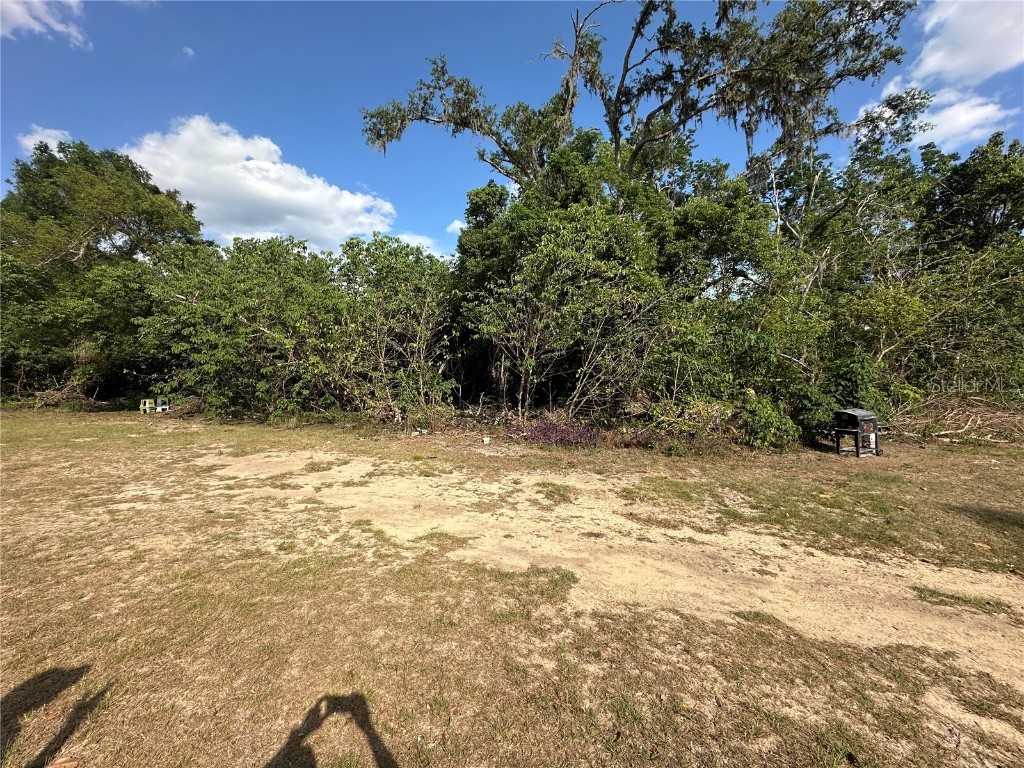 0 Sheila Lynn Court Dade City FL 33525 TB8378152 image3