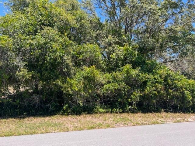 0 Sheppard Drive Lake Wales FL 33898 - LAKE WEOHYAKAPKA P4925692 image1