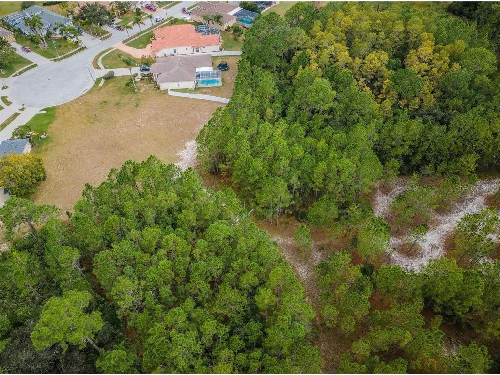 0 Shooting Star Court New Port Richey FL 34655 W7872134 image19