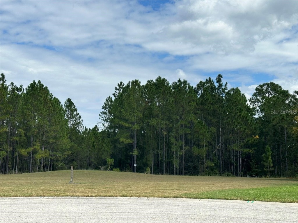 0 Shooting Star Court New Port Richey FL 34655 W7872134 image7