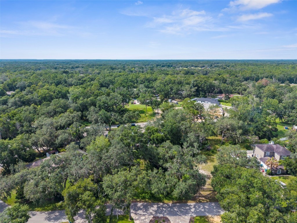 0 Shorewood Drive Dade City FL 33523 TB8438816 image4