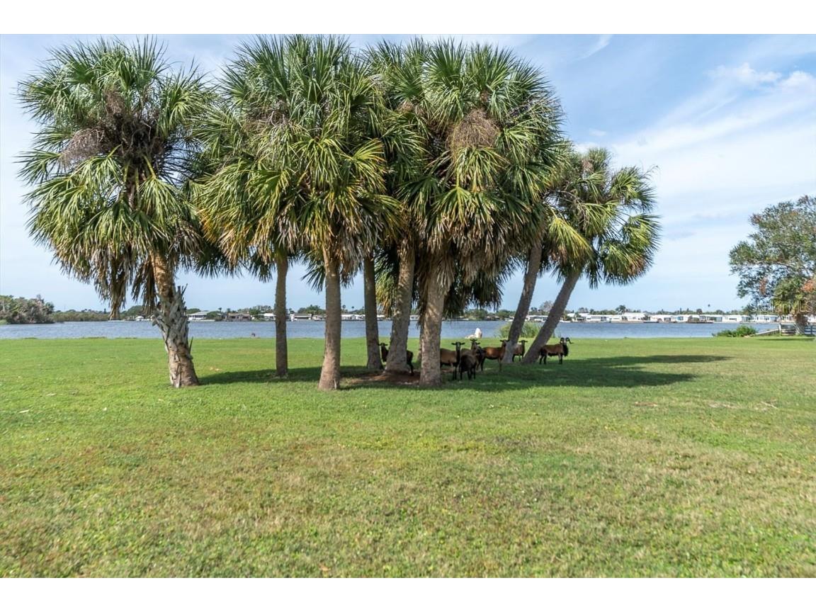 0 Silhouette Lane Holiday FL 34691 - LAKE CONLEY TB8320392 image12