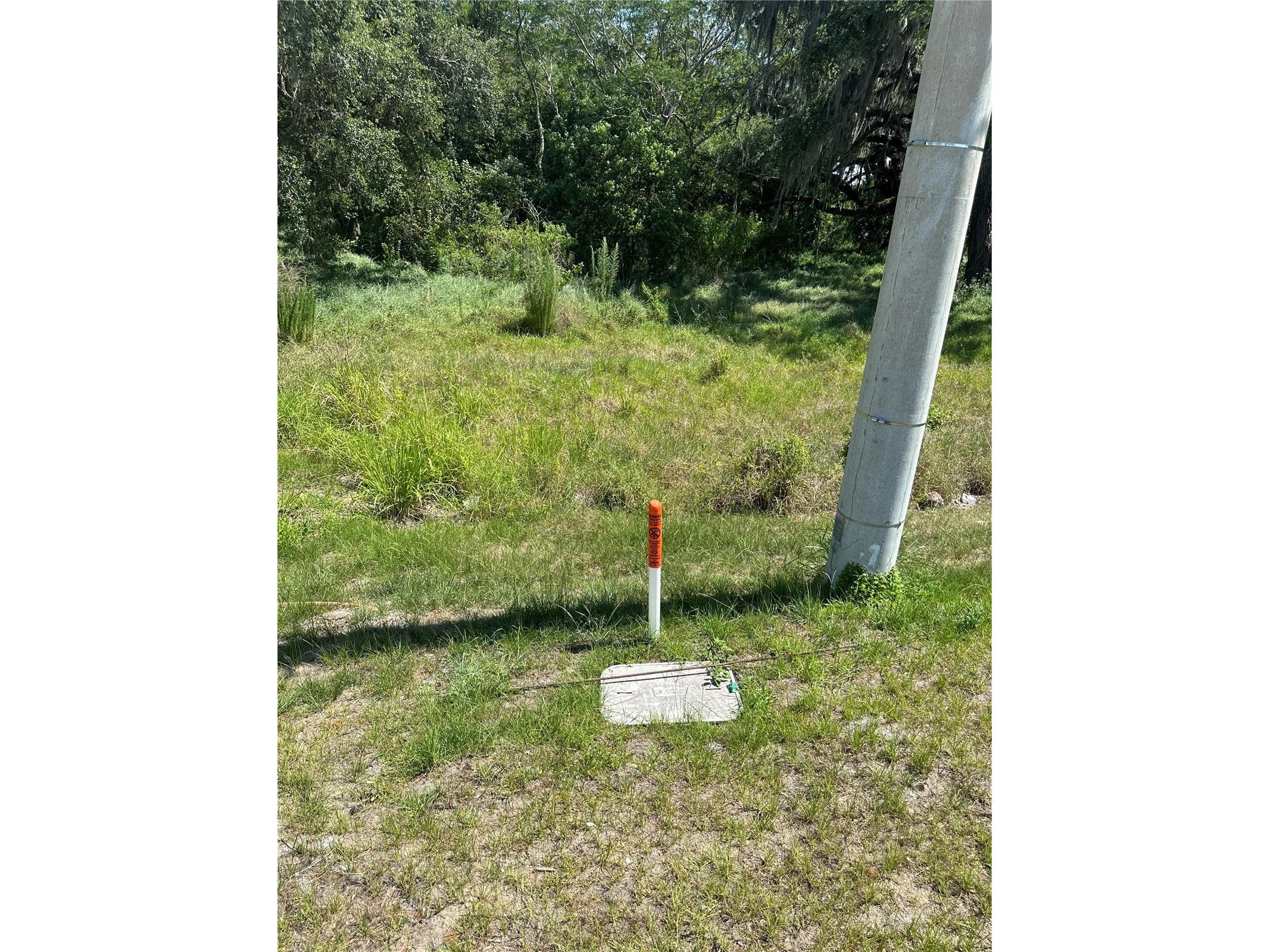 0 Simpson Road Kissimmee FL 34744 S5142548 image2