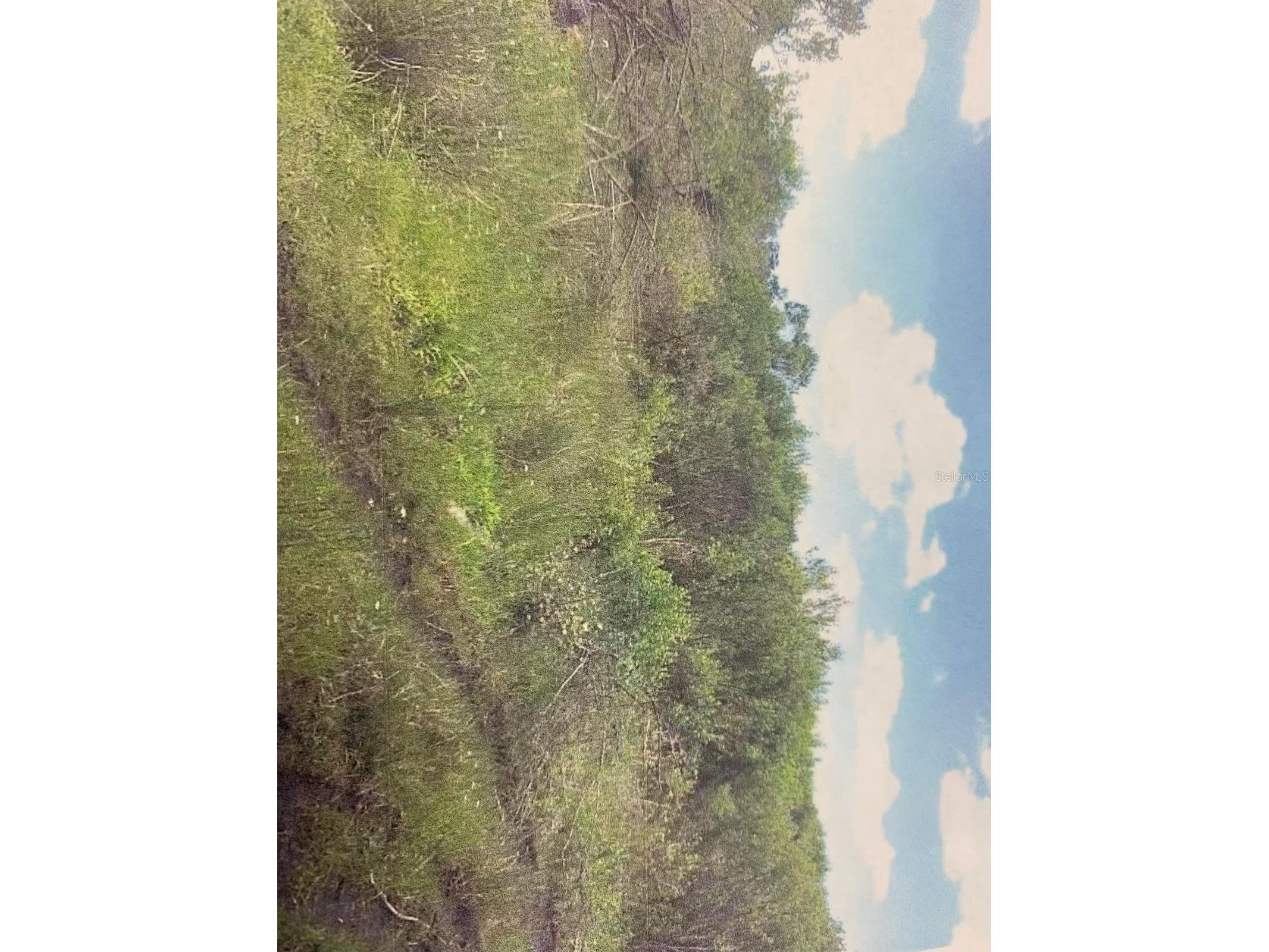 0 Simpson Road Kissimmee FL 34744 S5142548 image8