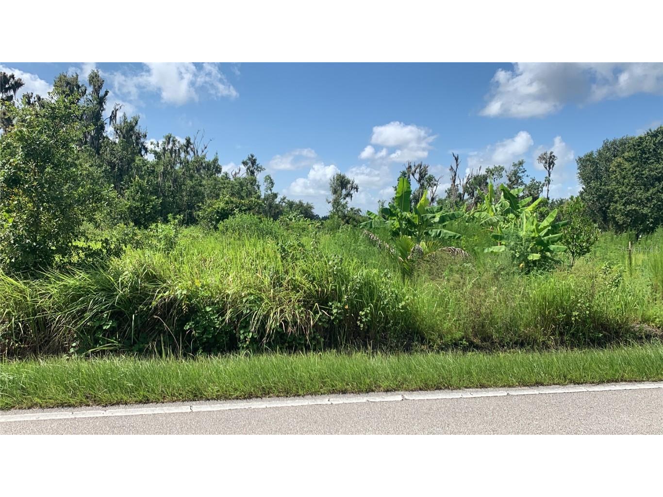 0 Sink Hole Road Bartow FL 33830 TB8408113 image1