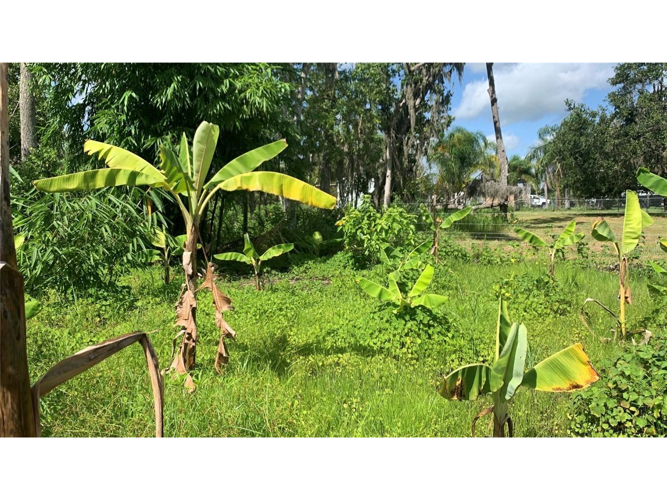 0 Sink Hole Road Bartow FL 33830 TB8408113 image10