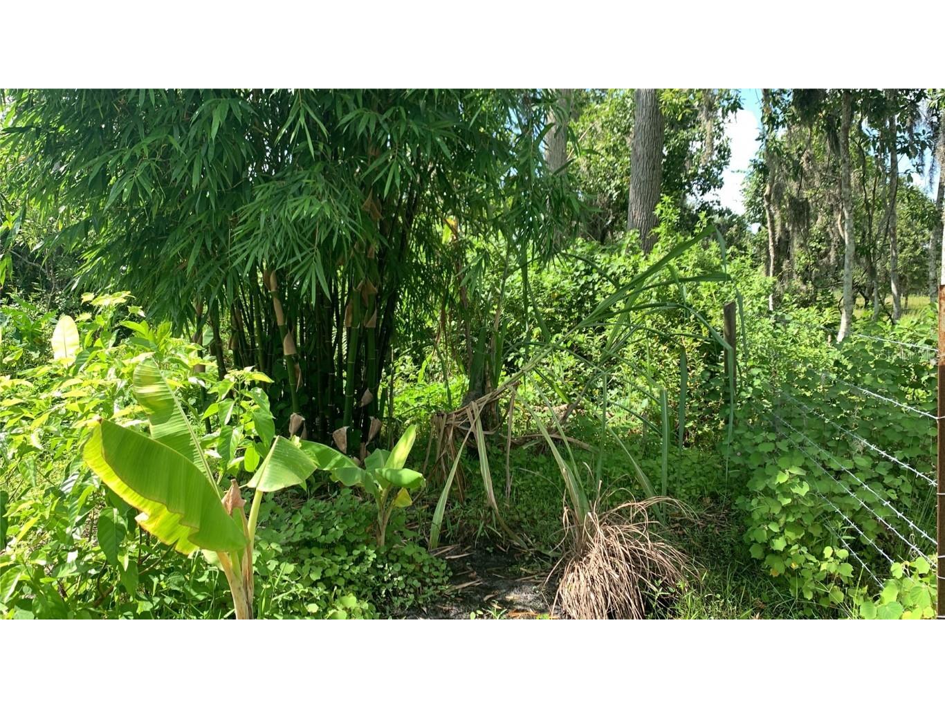 0 Sink Hole Road Bartow FL 33830 TB8408113 image15