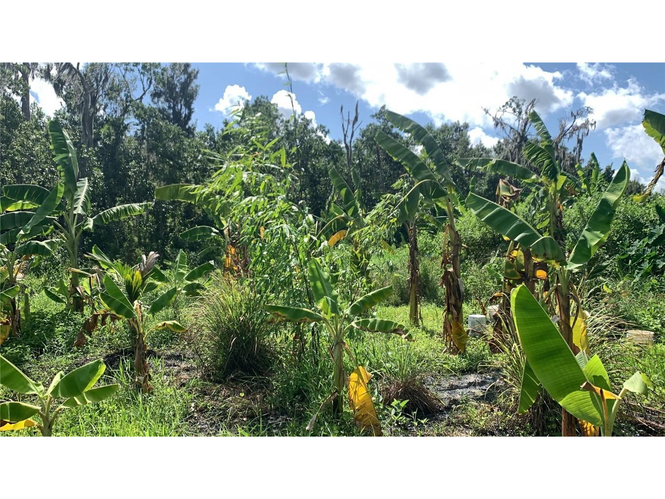 0 Sink Hole Road Bartow FL 33830 TB8408113 image17