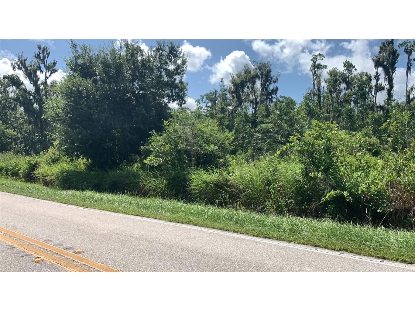 0 Sink Hole Road Bartow FL 33830 TB8408113 image2