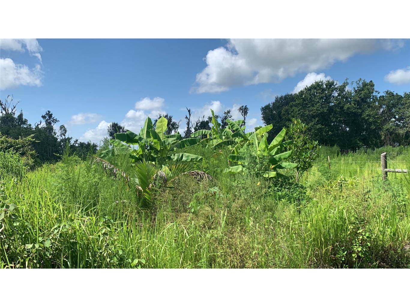 0 Sink Hole Road Bartow FL 33830 TB8408113 image23