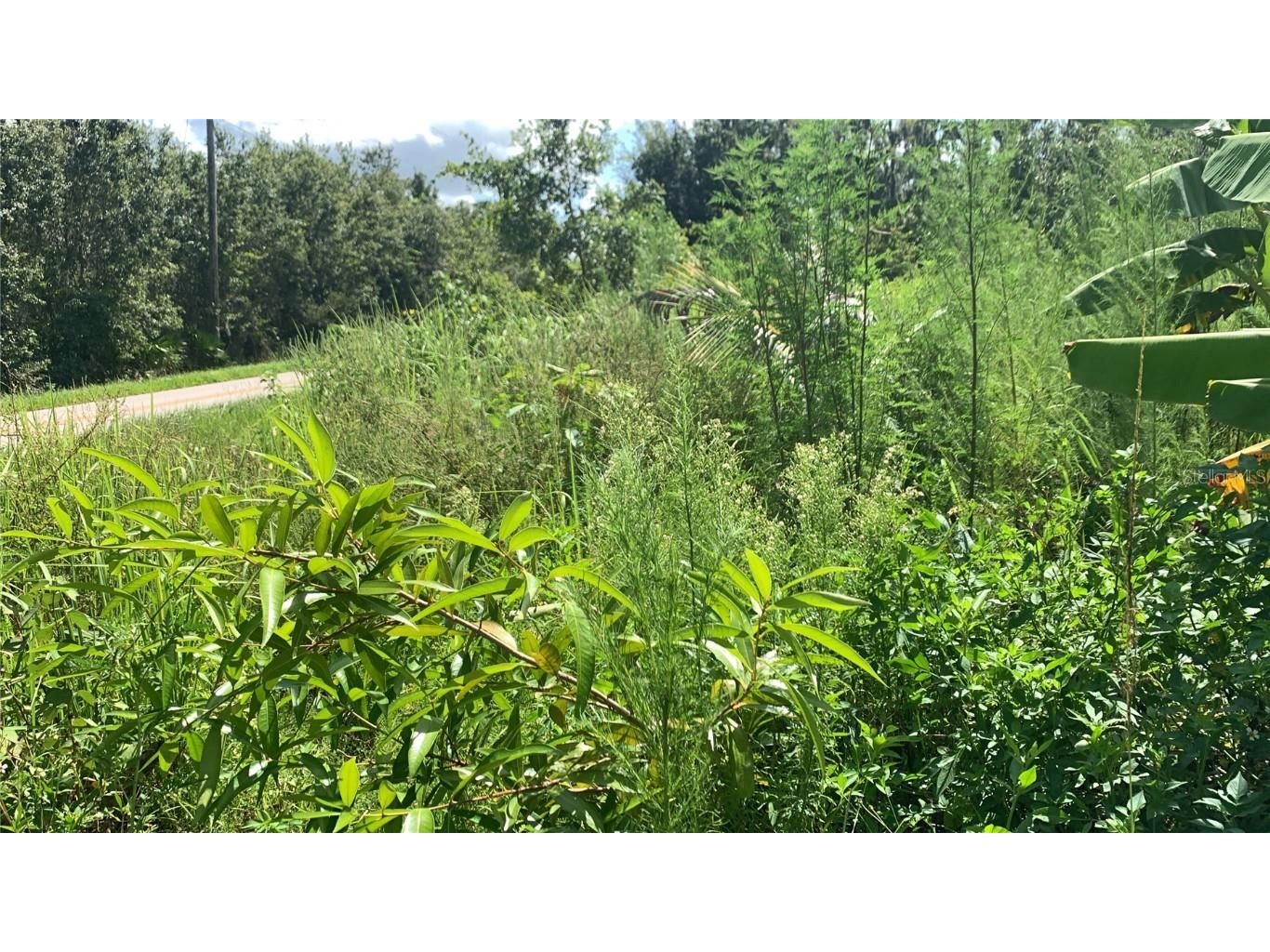 0 Sink Hole Road Bartow FL 33830 TB8408113 image24