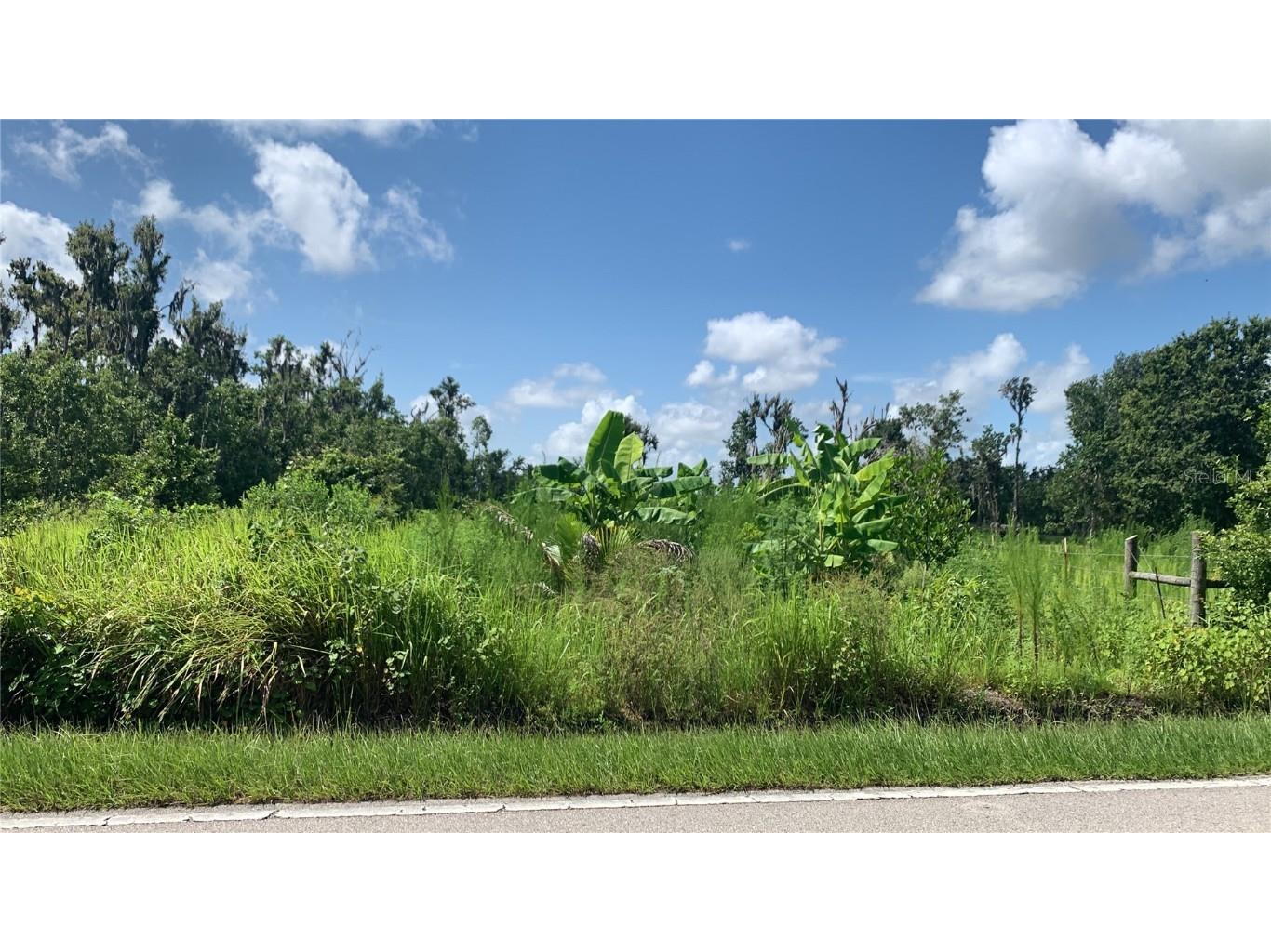 0 Sink Hole Road Bartow FL 33830 TB8408113 image27