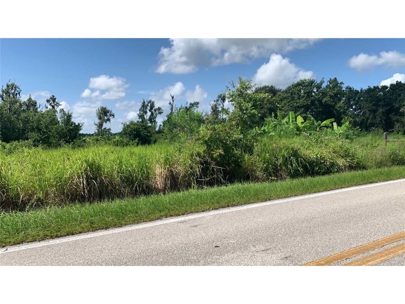 0 Sink Hole Road Bartow FL 33830 TB8408113 image3