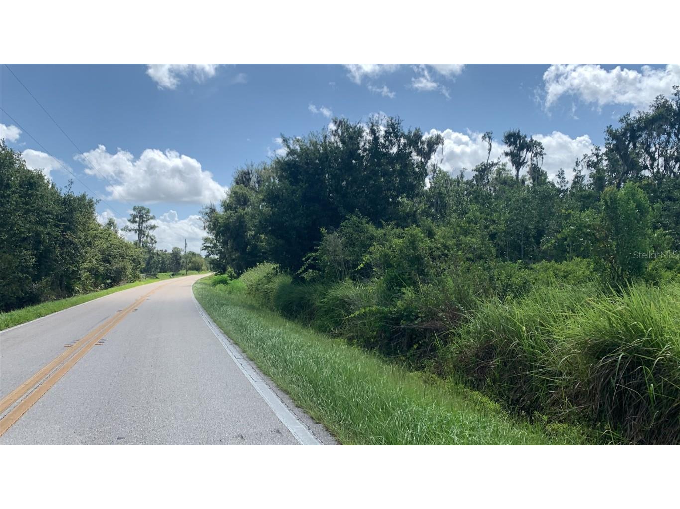 0 Sink Hole Road Bartow FL 33830 TB8408113 image4