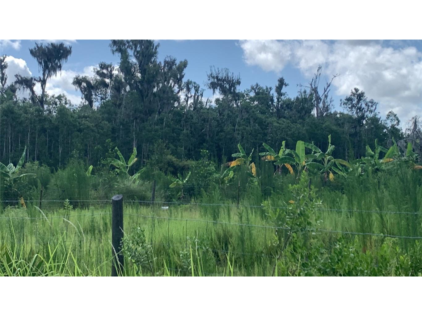 0 Sink Hole Road Bartow FL 33830 TB8408113 image6