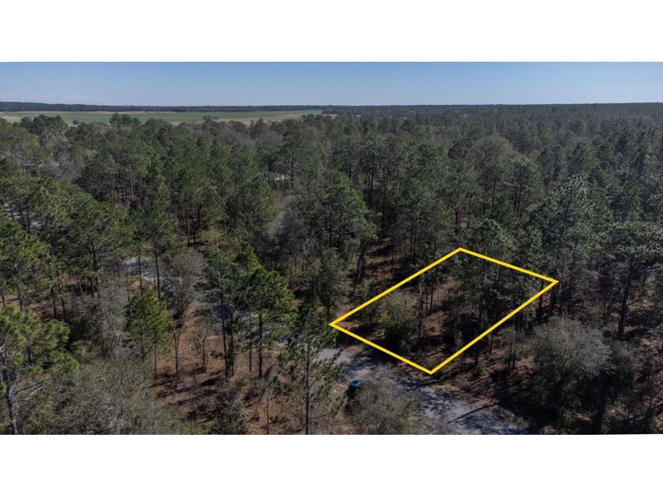 0 Skylark Lane Dunnellon FL 34431 U8230664 image1