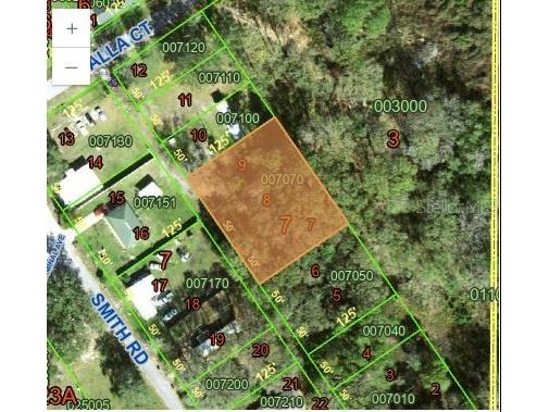 0 Smith Road Polk City FL 33868 P4936647 image1