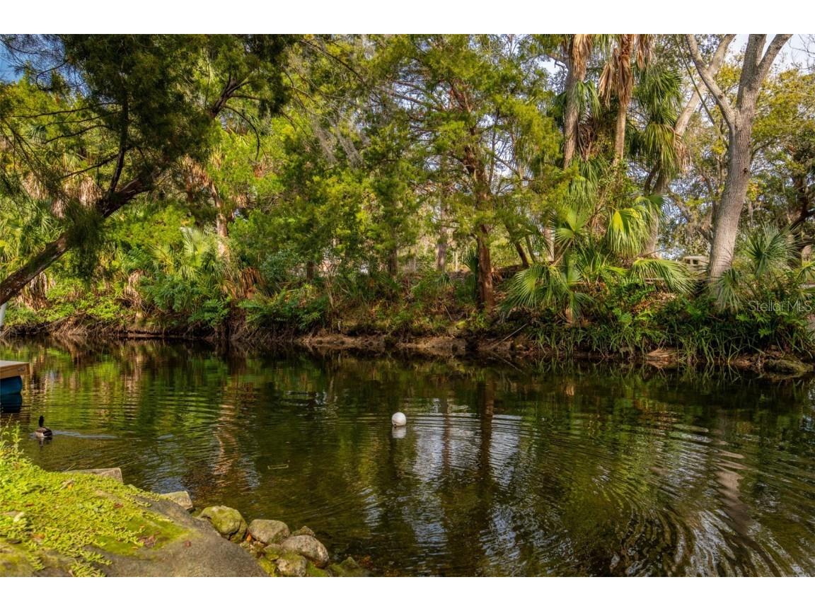0 Snapper Lane #LOT 78 Hudson FL 34667 W7871760 image4