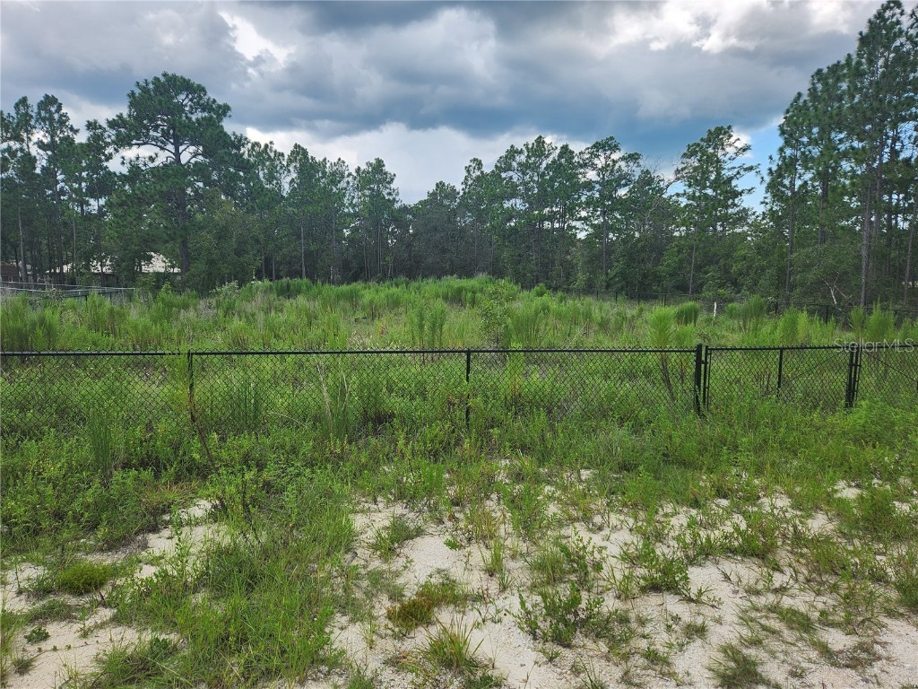 0 Snow Goose Ave Lot 7 Weeki Wachee FL 34614 W7856966 image1
