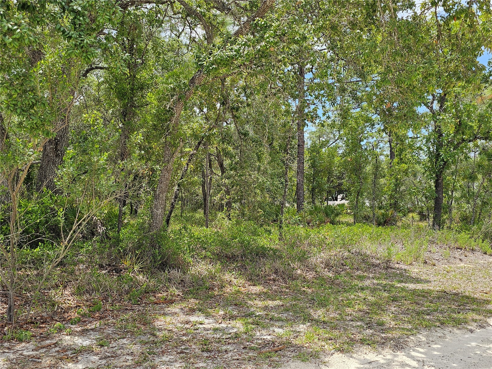 0 Song Sparrow Avenue Weeki Wachee FL 34614 W7885507 image13
