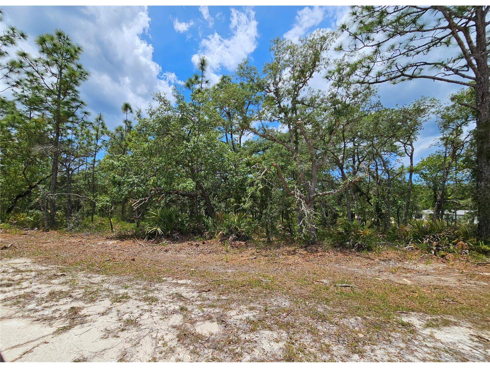 0 Song Sparrow Avenue Weeki Wachee FL 34614 W7885507 image14