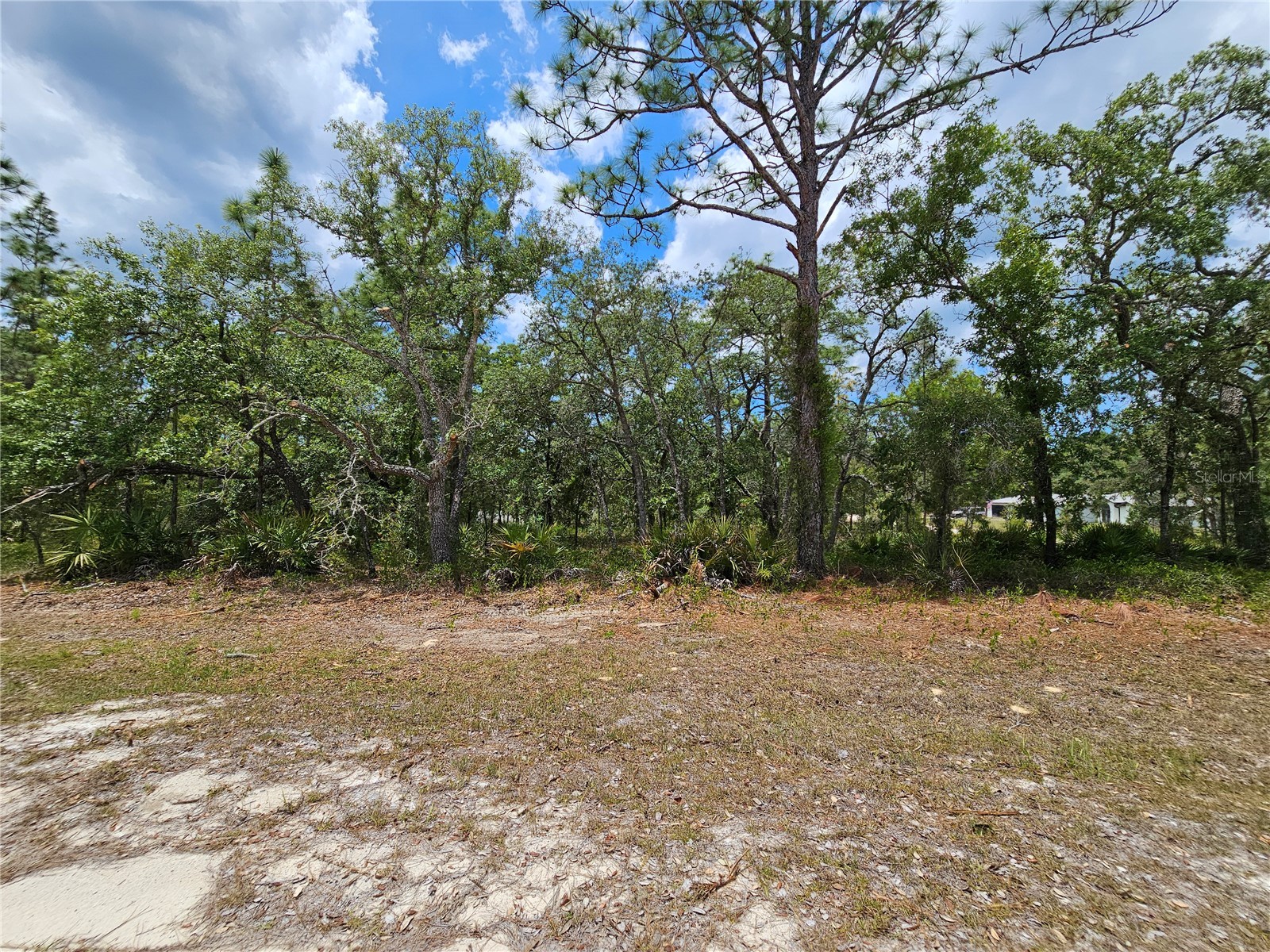 0 Song Sparrow Avenue Weeki Wachee FL 34614 W7885507 image15