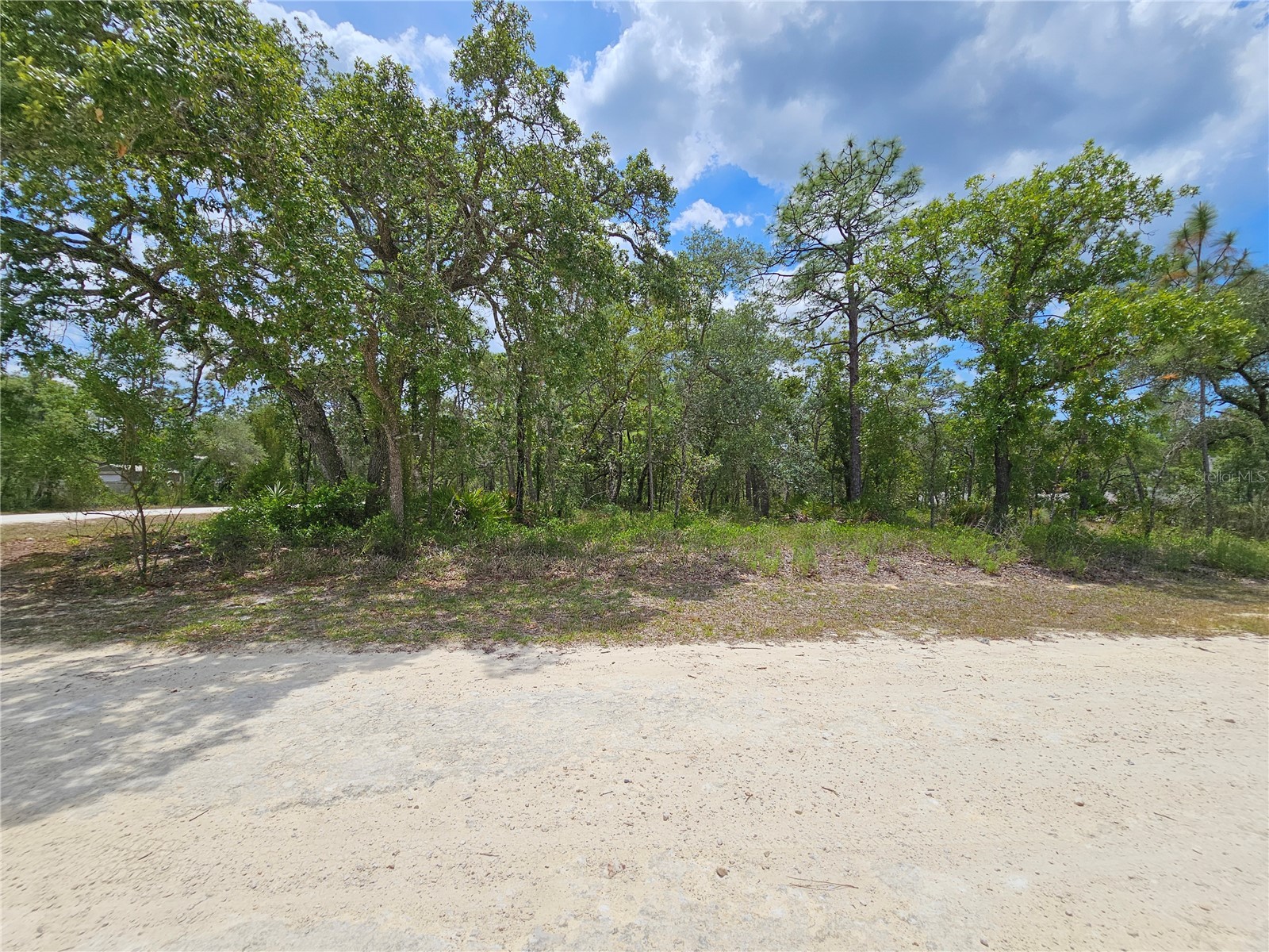 0 Song Sparrow Avenue Weeki Wachee FL 34614 W7885507 image16