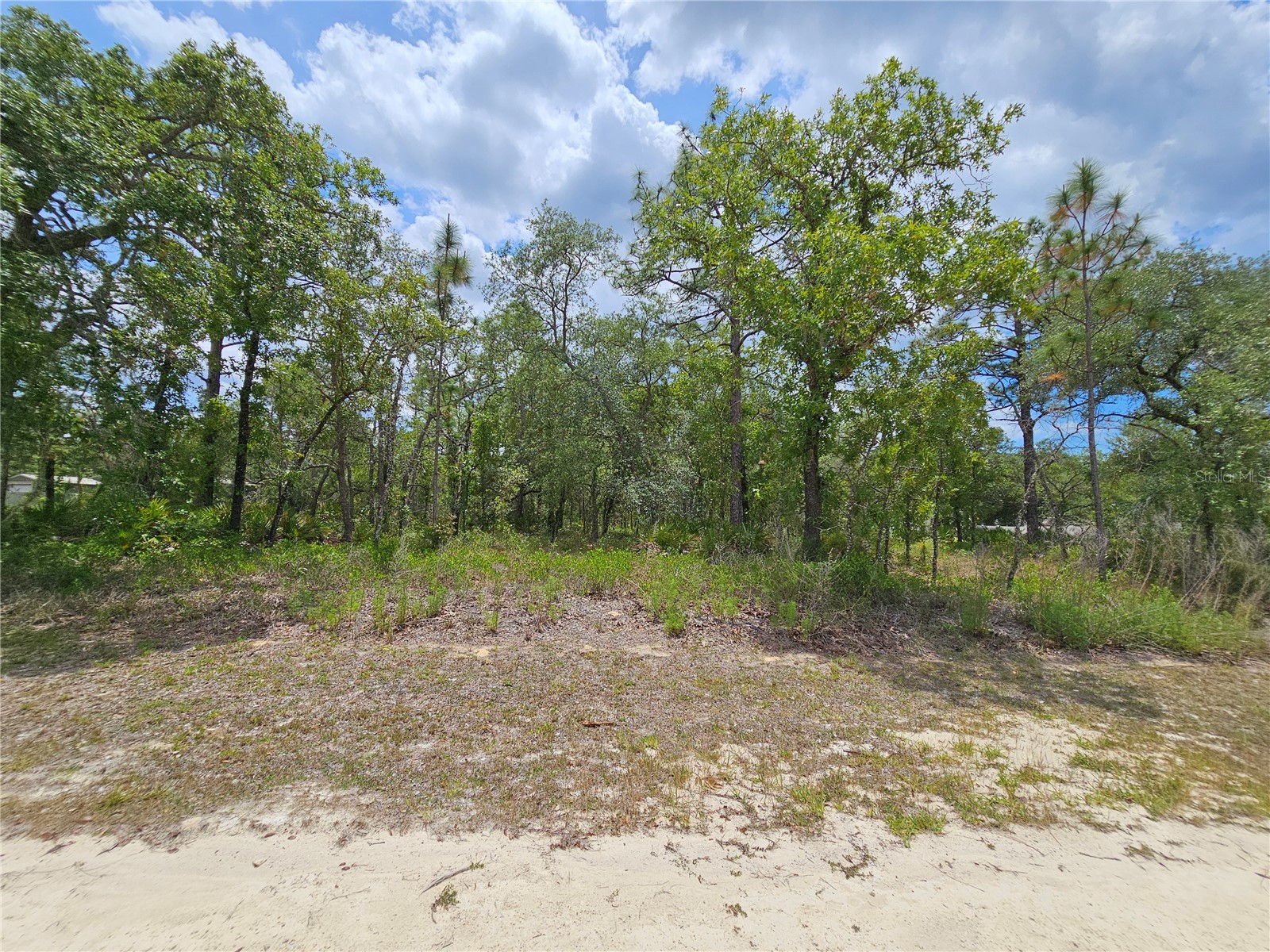 0 Song Sparrow Avenue Weeki Wachee FL 34614 W7885507 image17