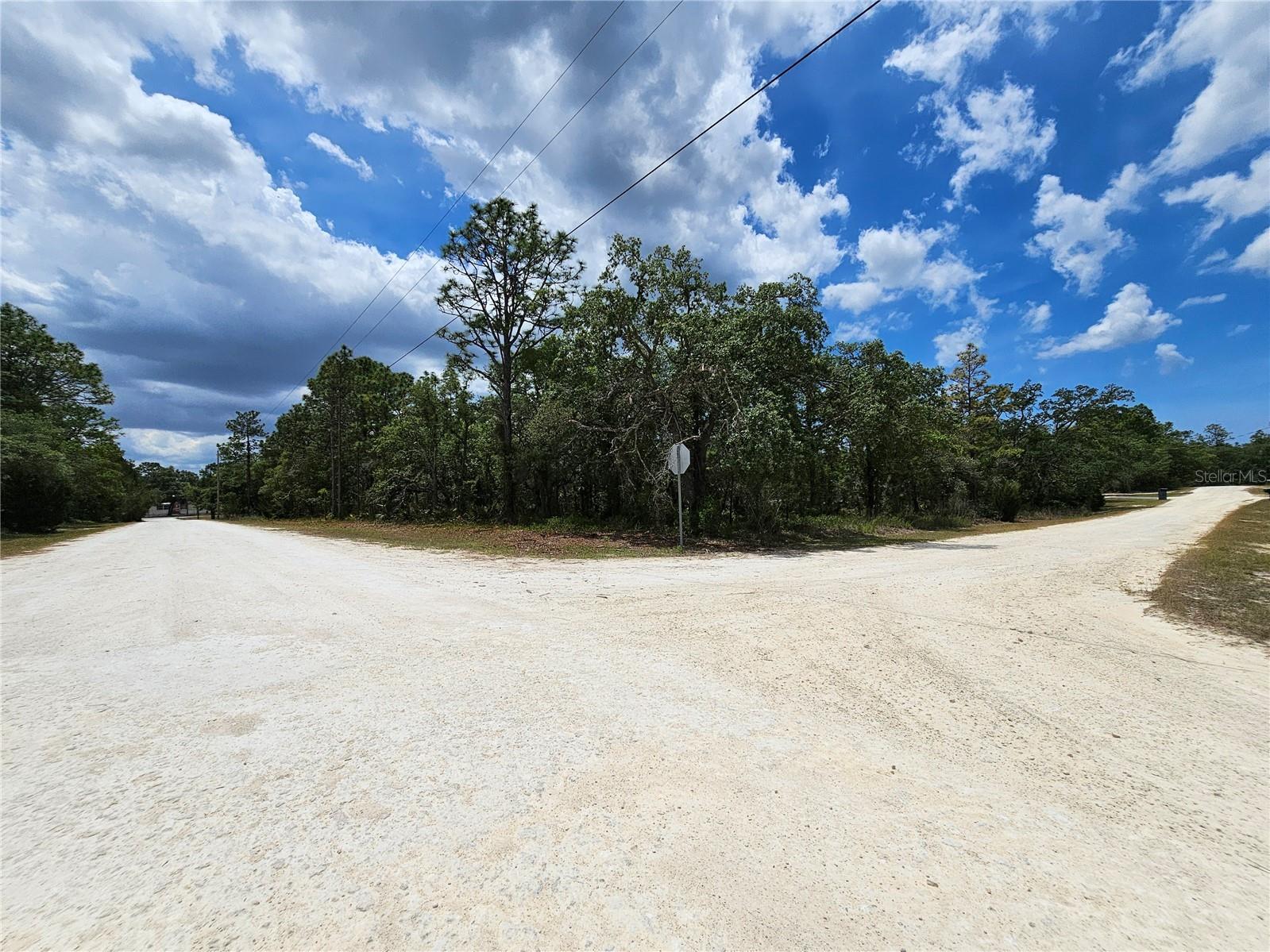 0 Song Sparrow Avenue Weeki Wachee FL 34614 W7885507 image2
