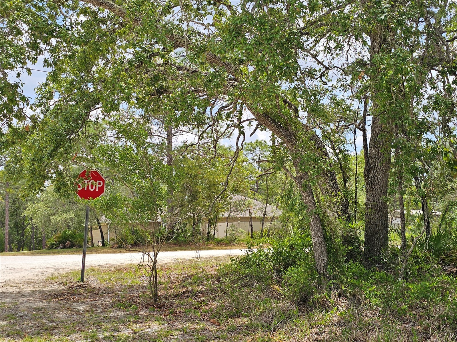 0 Song Sparrow Avenue Weeki Wachee FL 34614 W7885507 image3