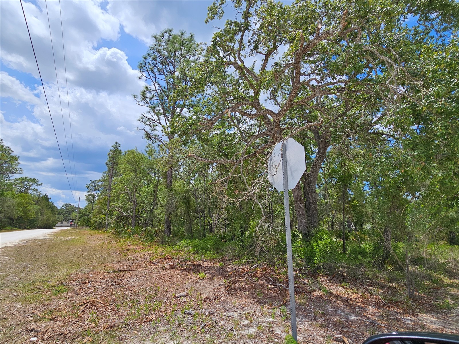 0 Song Sparrow Avenue Weeki Wachee FL 34614 W7885507 image5