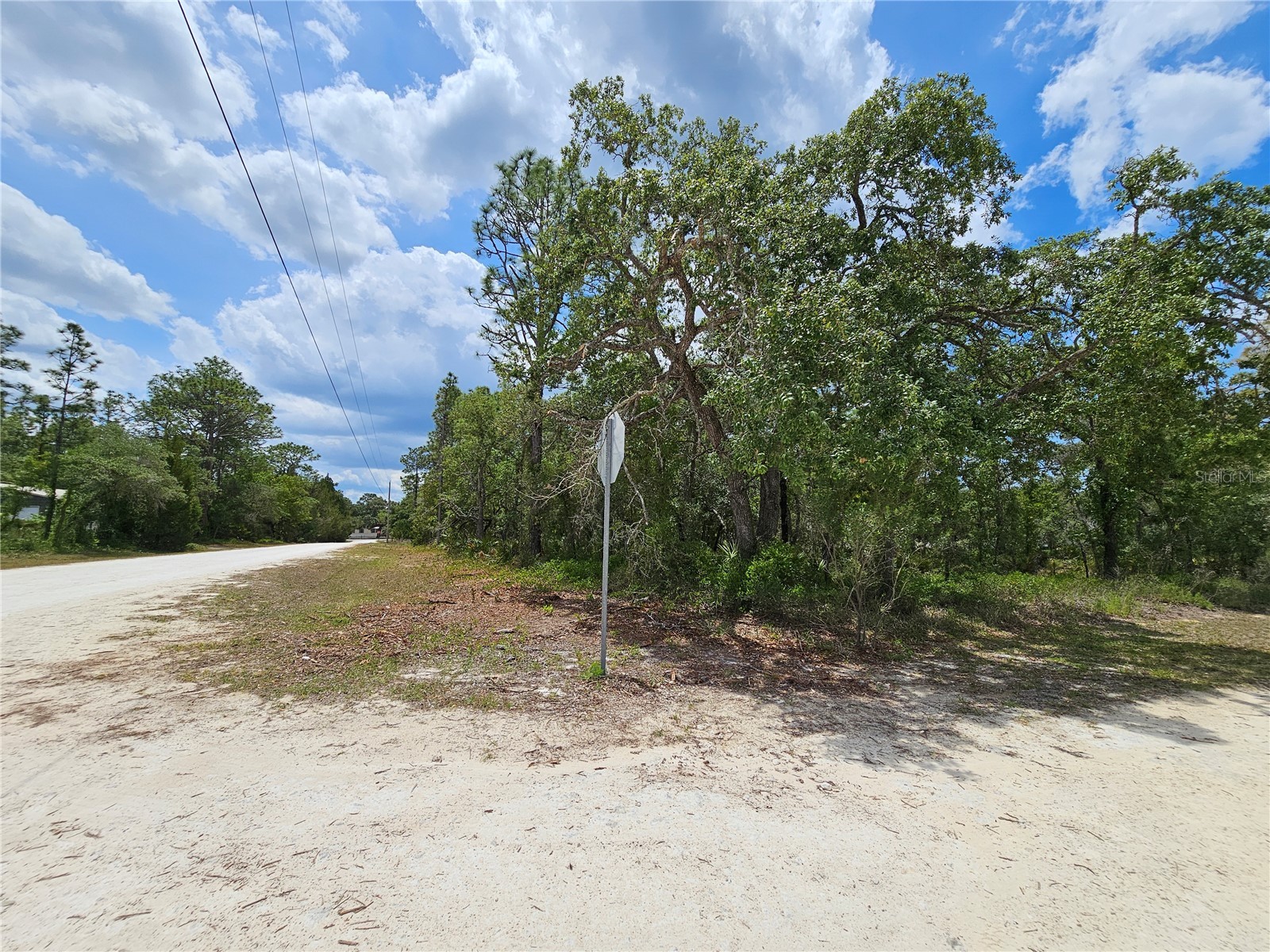 0 Song Sparrow Avenue Weeki Wachee FL 34614 W7885507 image6