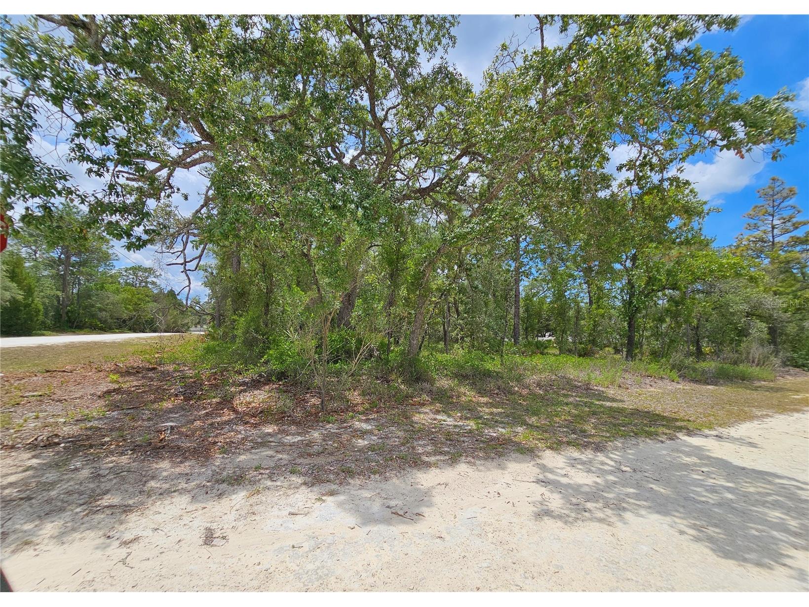 0 Song Sparrow Avenue Weeki Wachee FL 34614 W7885507 image7