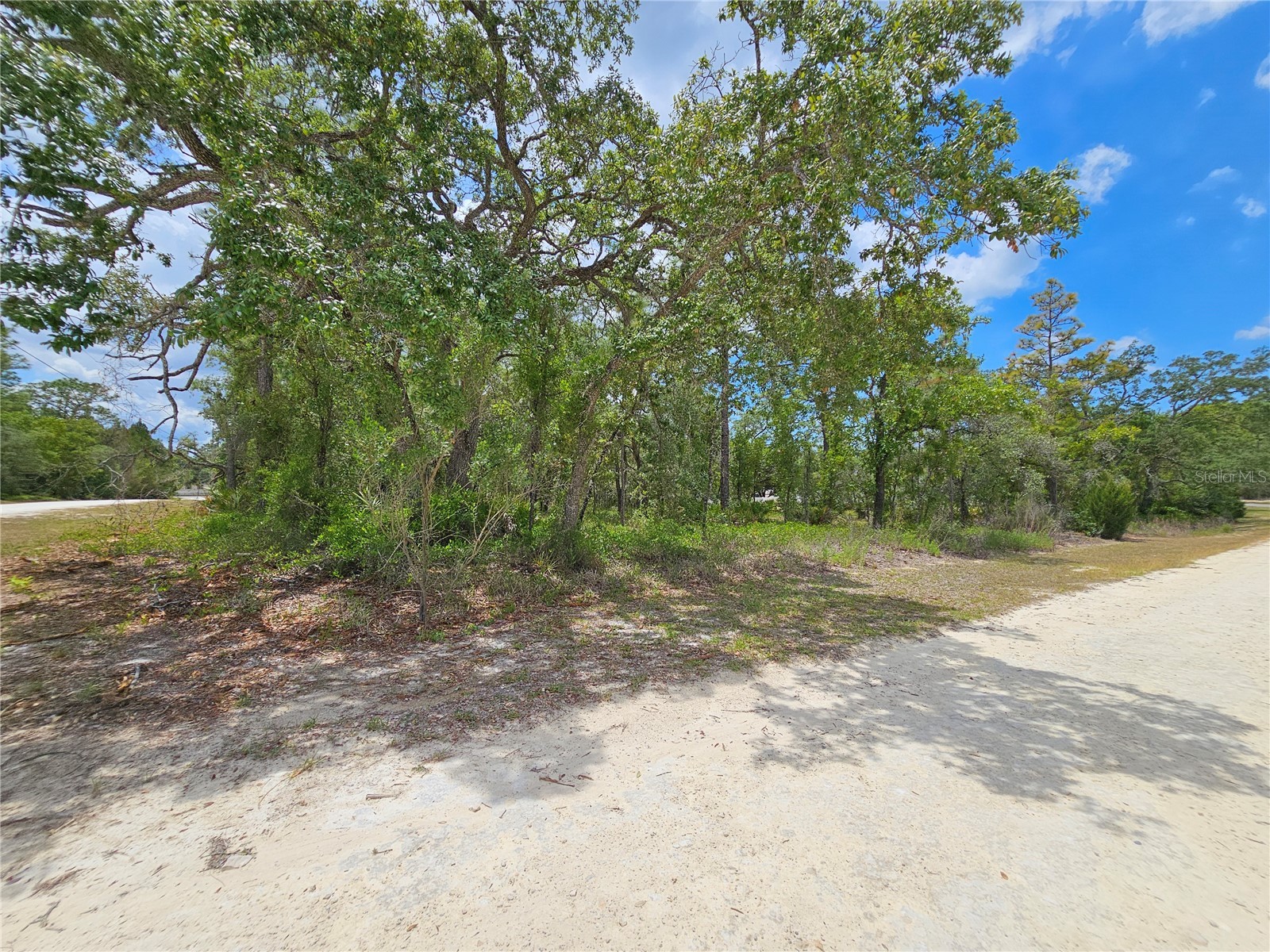 0 Song Sparrow Avenue Weeki Wachee FL 34614 W7885507 image8