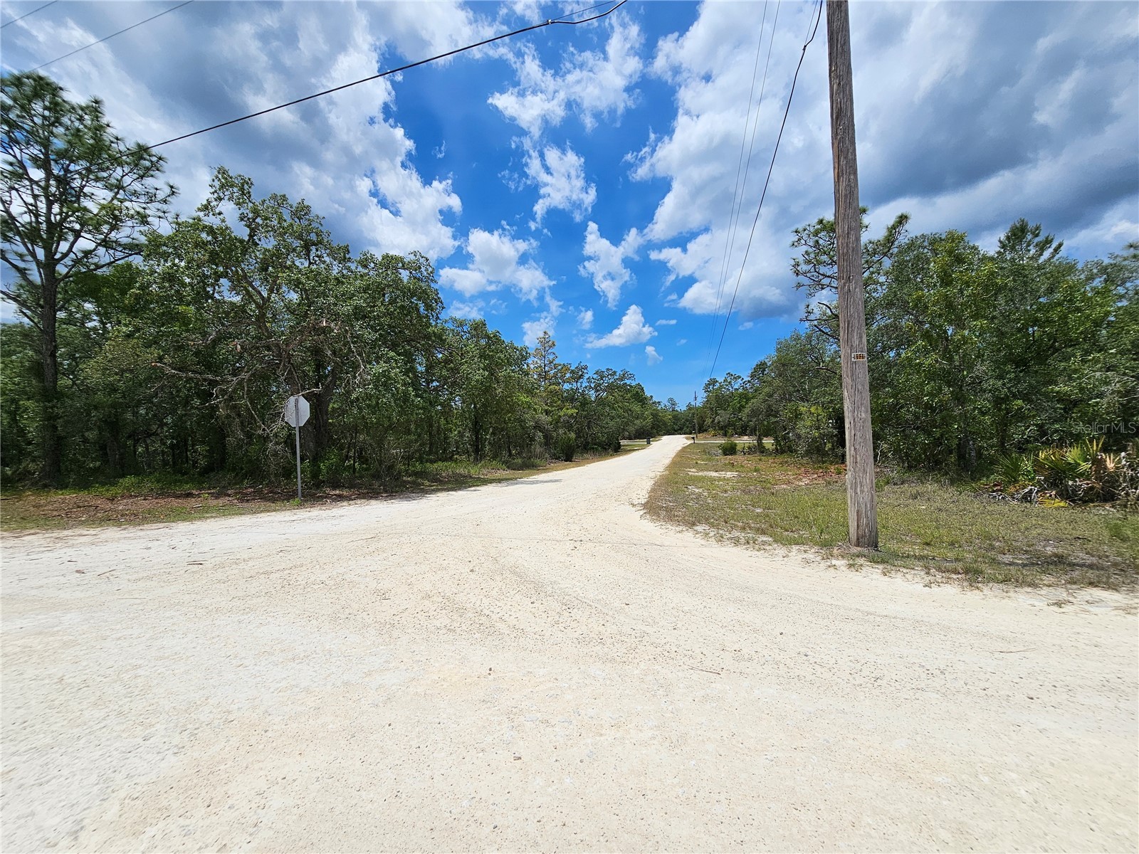 0 Song Sparrow Avenue Weeki Wachee FL 34614 W7885507 image9