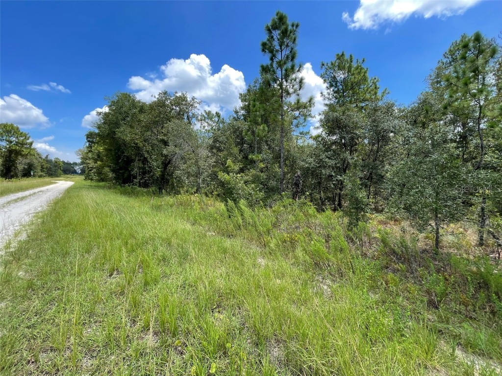 0 Sooty Tern Avenue #LOT 2 Weeki Wachee FL 34614 U8209263 image1