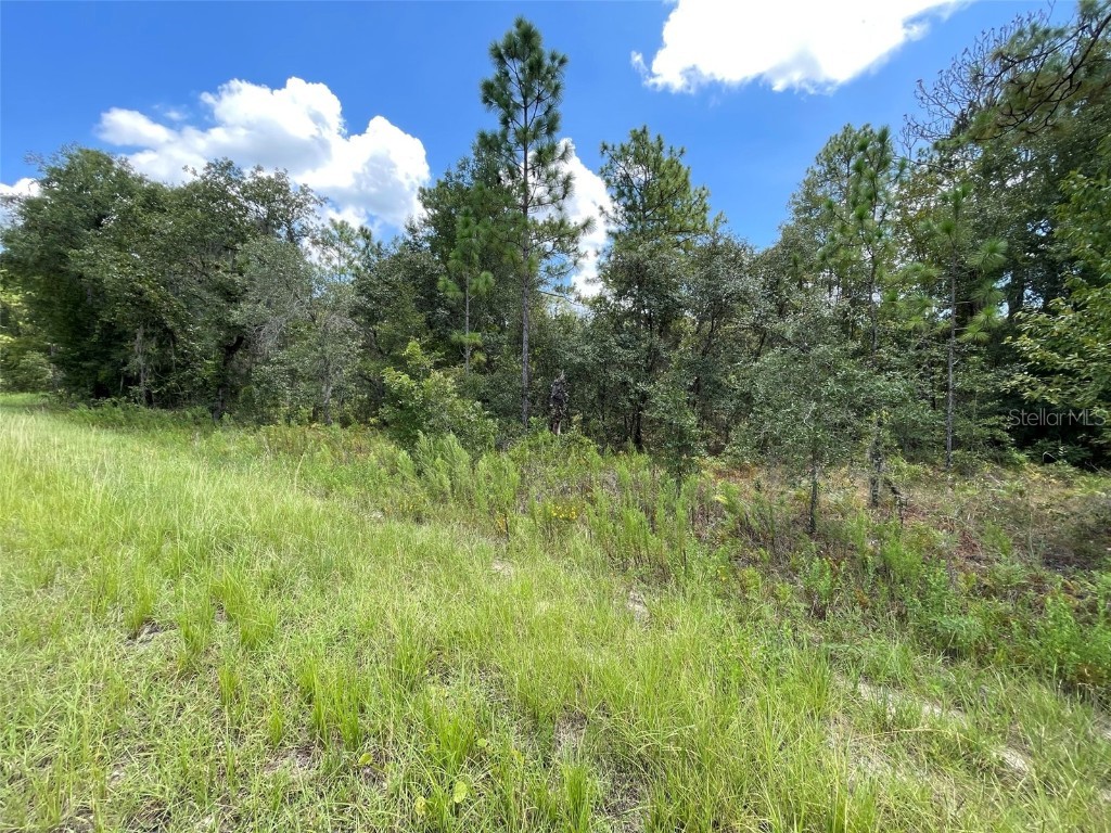 0 Sooty Tern Avenue #LOT 3 Weeki Wachee FL 34614 U8209276 image1