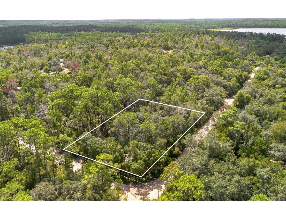 0 Southeast 92nd Place Ocklawaha FL 32179 W7878757 image1