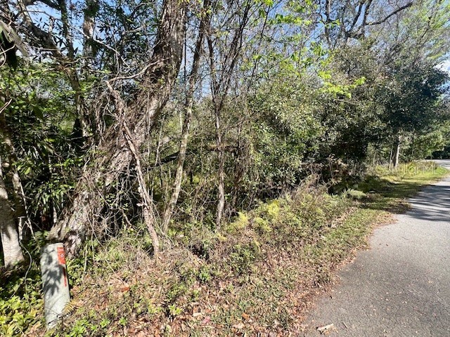 0 Southwood Court New Port Richey FL 34654 W7883211 image15