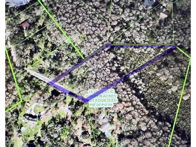 0 Southwood Court New Port Richey FL 34654 W7883211 image3